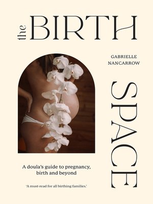 cover image of The Birth Space: a Doula's Guide to Pregnancy, Birth and Beyond